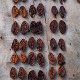 CACAO %80